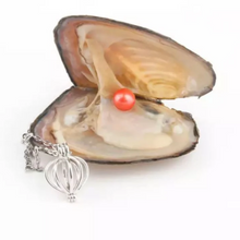 Load image into Gallery viewer, Natural Oyster Pearl Necklace