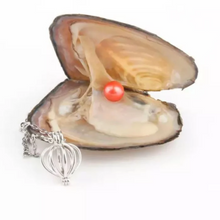 Load image into Gallery viewer, Natural Oyster Pearl Necklace
